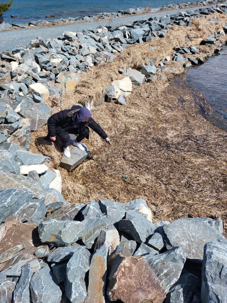A person is crouched on a rock on the shore of a waterway using a stick to retrieve a piece of trash.