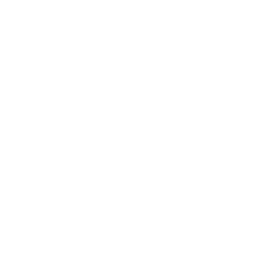 Business Intelligence Group Excellence in Customer Service Award 2019