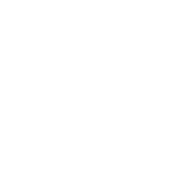 Stevie Bronze 2020