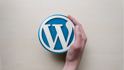 WordPress Logo with Hand